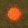 YC-200s Nuevo laser yag de Nidek sistema SLT disparo segementado a la medida revise las caracteristicas de este gran equipo para el tratamiento de la retina-3529