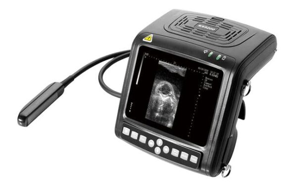 KX-5200 Ultrasonido Veterinario KAIXIN manual portatil con múltiples patentes en una, inteligente y liviana, conveniente para transportar, más fácil para examinar pacientes localmente-0